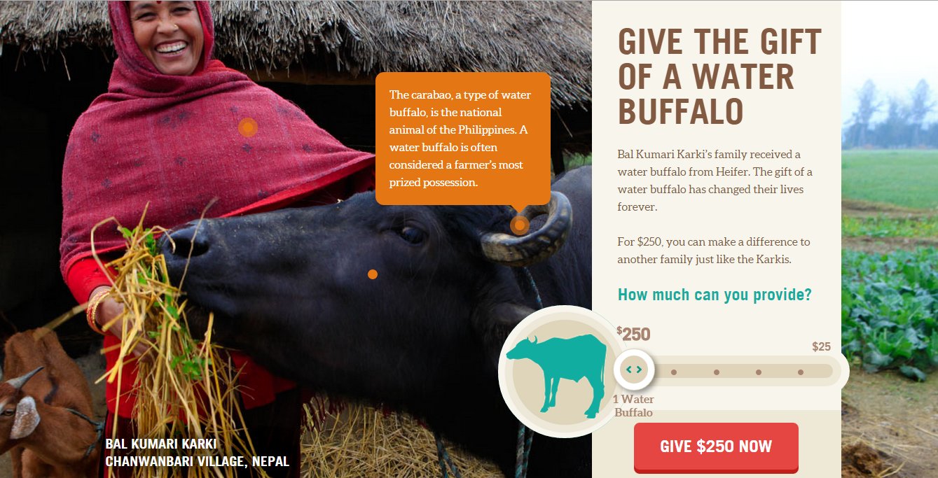 Heifer International "Product" Catalog Sample screenshot