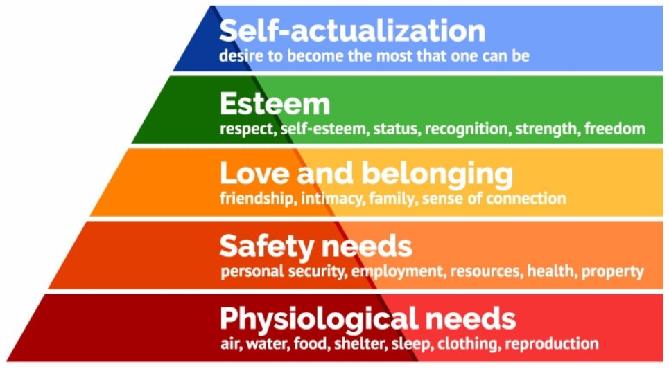 colourful hierarchy